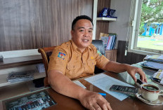 Website BKN Sudah Bisa Diakses, 616 PPPK Lebong Segera Dilantik