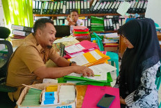 1.187 PPPK Paruh Waktu Bengkulu Selatan Segera Dilantik Januari 2026, Segini Besaran Gajinya