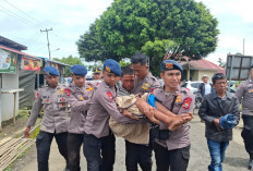  Sempat Hilang, Pendaki Bukit   Kaba Ditemukan Selamat