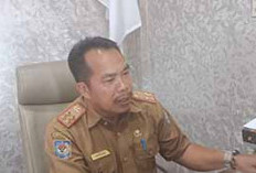 Opsi Terburuk PHK Massal PPPK, Pemerintah Pusat Diminta Kaji Ulang Belanja Pegawai Wajib 30 Persen 