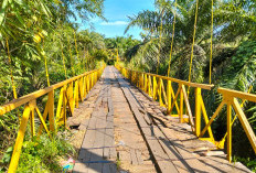  Jembatan Taba Pasemah Benteng Tak Kunjung Diperbaiki, Ini Penyebabnya