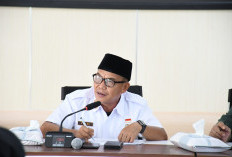 Sehmi, Plt Kadisperindag Kota Bengkulu Gantikan Bujang HR yang Tersandung Kasus Hukum
