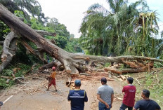  Pemdes di BU Dapat Pendampingan Hukum, Ini Tujuannya   