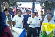 Turun ke Bengkulu, Mentan RI Sambangi Pasar Panorama, Pastikan Stok Beras Aman