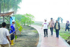 Wali Kota Bengkulu Tegaskan Bongkar Warem Pantai Panjang 