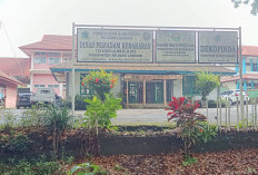  Begini Cara Damkar Rejang Lebong Mewaspadai Karhutla