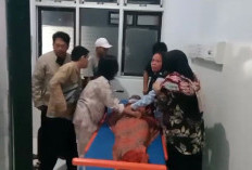 Tertimpa Bak Jonder, Pekerja  Meninggal, Begini Kejadiannya