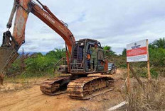 Sita Kebun Sawit 30 Hektare, Gakkum Kehutanan Tindak Tegas Perambah Bentang Alam Seblat  