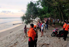 Mancing di Teluk Sepang, Tenggelam, Kasi Operasi dan Siaga Basarnas Bengkulu Beberkan Penyebabnya