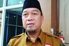 Akhir Mei, Pemprov Bengkulu Cairkan DBH Pajak Rokok Rp36 Miliar 