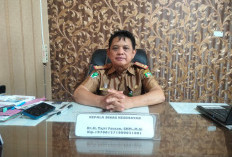 Kesimpulan Dinas Kesehatan, Makan MBG Mengandung Bakteri, Penyebab Keracunan Massal Pelajar SDN 18 Kepahiang