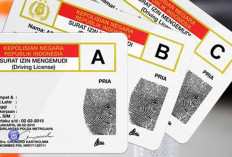 Jangan Mepet, Ini Panduan Lengkap Perpanjang SIM Online agar Tak Kena Tolak