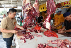 Permintaan Daging Meningkat Jelang Ramadhan, Mukomuko Potong 30 Ekor Sapi dan Kerbau