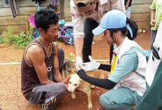 1.200 Hewan Pelihara   Divaksin Anti Rabies, Capaiannya Baru Segini