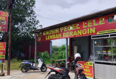 Lembah Berangin Favorit Tempat yang Sejuk, Sajikan Menu dengan Cita Rasa yang Menggugah Selera