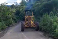 Sempat Viral di Medsos, Dinas PUPR Lebong Bersihan Jalan Penghubung 2 Kecamatan Ini