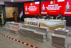 Kasus Tambang Tahap Pemberkasan, Sebanyak 12 Orang Ditetapkan Tersangka