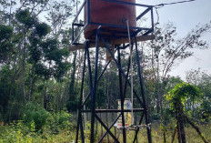  Pemdes Bukit Bangun Sumur Bor dari Dana Desa, Segini Anggarannya