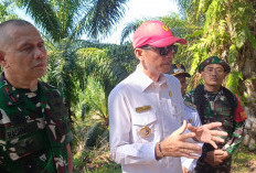 100 Anak di Kaur Akan Masuk Sekolah Rakyat