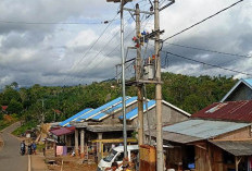 Air Palawan Pasang   Lampu Jalan Solar Cel