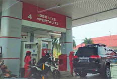 Harga BBM Melambung Tinggi, Pemprov Bengkulu Geser Anggaran untuk Operasional Kendaraan Ini