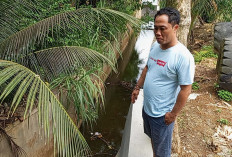 Desa Batu Lambang Berhasil   Atasi Abrasi Sungai