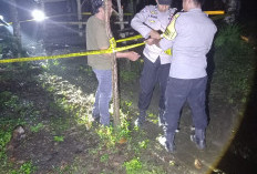 BREAKING NEWS:Warga Kaur Ditemukan Meninggal Diatas Gubuk