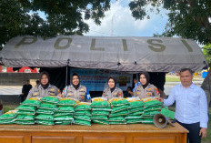 91 Ton Beras SPHP Berhasil Dijual Polres Kaur