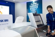  BRI Buka Lowongan Kerja Hingga Akhir Desember 2025, Tersedia 4 Posisi,  Cek Syaratnya 