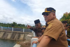 Petani Kekurangan Air, Tebat Gelumpai Perlu Dikeruk, Begini Penyataan Bupati Rifai 