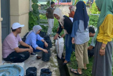  Perkuat Ketahanan Pangan Lewat KWT sebagai Ujung Tombak Ketahanan Pangan