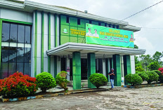 Kasus ISPA di Rejang Lebong Meningkat, Capai 17.691 Pasien 