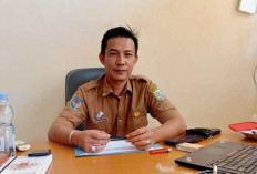 146 Ribu Kendaraan   di Kaur Pakai Plat Luar