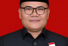 Dampak El Nino, Harga   Sembako Masih Stabil
