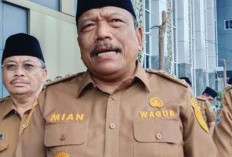 Perkebunan Sawit di Bengkulu Bakal Dipungut Pajak Air Permukaan