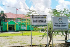  Dana Opla Non Rawa di Mukomuko   Sudah Masuk ke Rekening Poktan, Segini Luas Lahannya