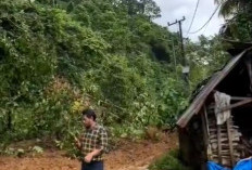 BREAKING NEWS;Bencana di Ulu Manna, Jalan Tertutup Longsor dan Jembatan Desa Hancur