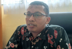 Dinyatakan TMS, 29  Pendaftar CPNS Ajukan Ini