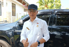 Revitalisasi Sekolah di Bengkulu Selatan Berdampak Luas, Ratusan Warga Dapat Pekerjaan