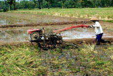  Alsintan Dilarang Dijual dan Disewakan Keluar Daerah, Jika Melanggar Bakal Disanksi Tegas! 