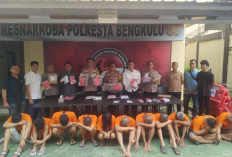 Ganja Dipasok dari Sumbar, 11 Tersangka Berencana Pesan 20 Kg