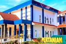 Unib Buka Prodi Baru, Mulai Terima Mahasiswa Baru Tahun Ini