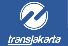 PT Transjakarta Buka  Lowongan Kerja,  Bagi SMA, D3  hingga S1 Untuk 9 Posisi, Syarat dan Cara Daftarnya  