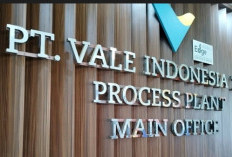  PT Vale Indonesia Buka Lowongan Kerja,  Cek Link dan  Penempatannya 