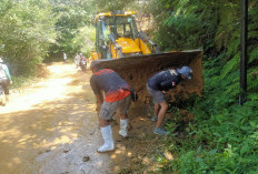 Jalan Tertimbun Tanah Longsor, 2 Hari Tim Bersihkan Material 