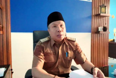  Kasus Kekerasan Perempuan dan Anak di Lebong Tinggi