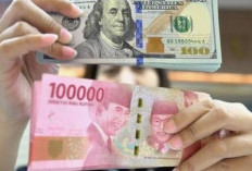 Waspada! 4 Tanda Investasi Diam-Diam Menganggu Kondisi Keuangan Pribadi 