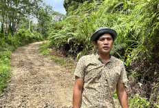Warga Lubuk Sandi Minta Jalan  Kabupaten Diperbaiki
