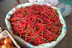 Harga Cabai Merah di Kepahiang Melambung Tinggi, Segini Harganya Saat Ini