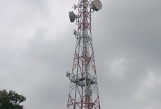  Atasi Tunggakan Pajak BTS,   Bapenda BU Siapkan Langkah Ini